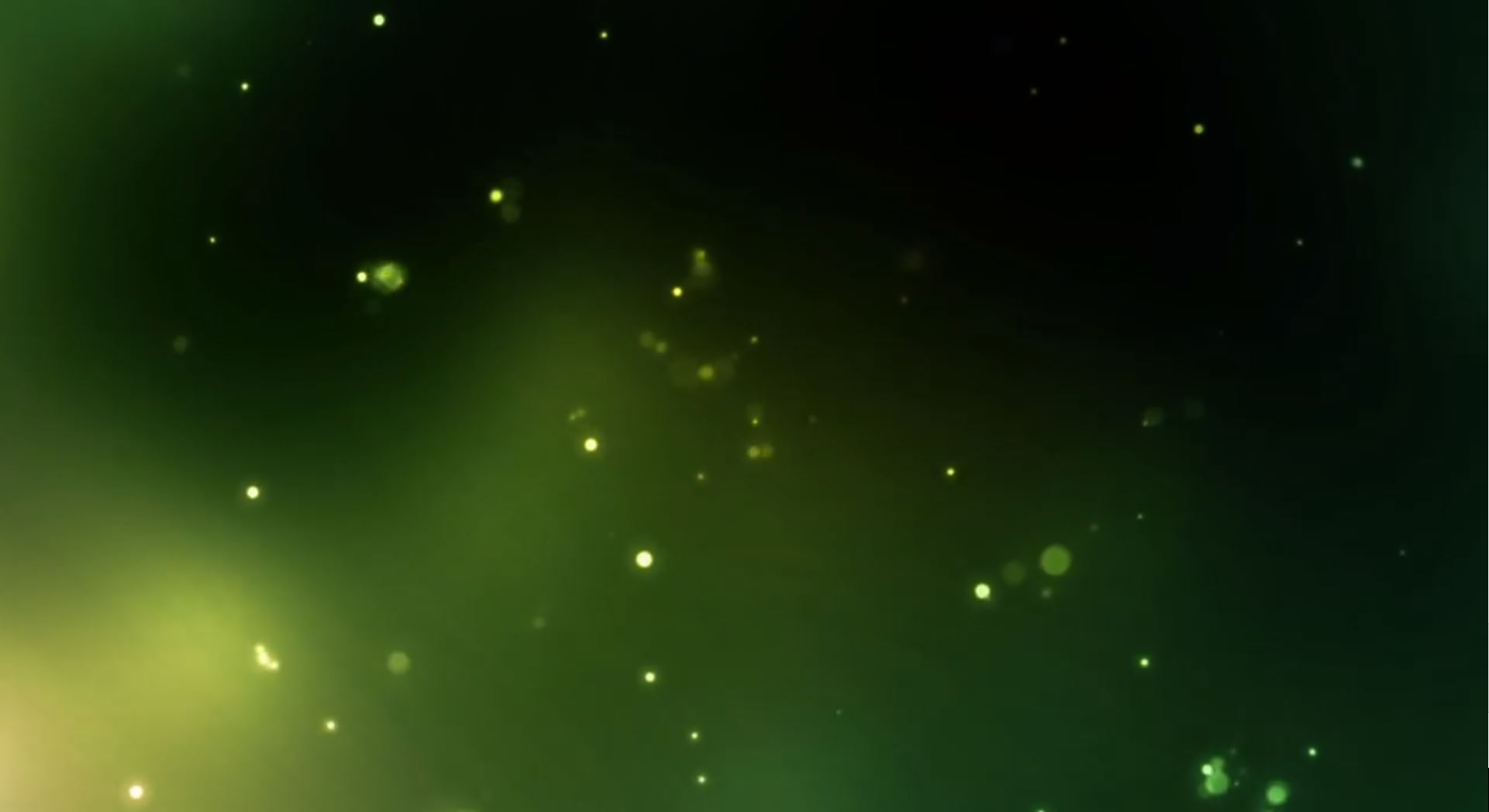 bannerImage